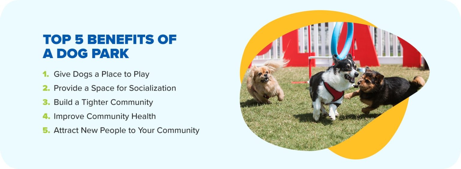 Benefits of Having a Dog Park in Your Community | Playworx